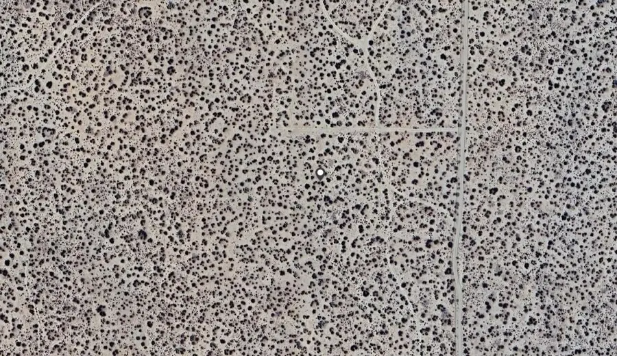 14 E 230th Street, Palmdale, CA 93591 - Image #2