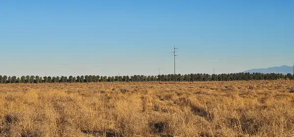 Willow Avenue, Rosamond, CA 93560