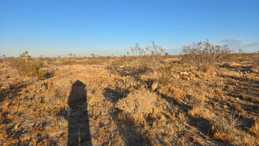 Vicinity Ave U-4 & 257th St E., Llano, CA 93544 - Image #3