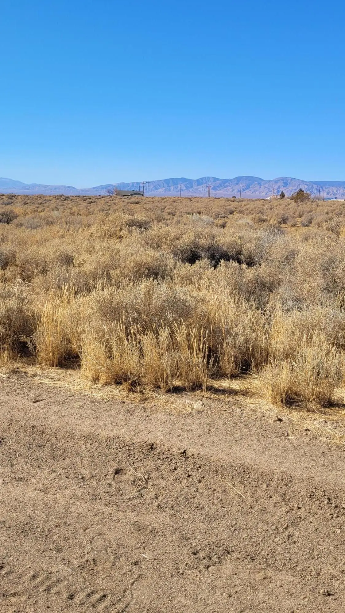 Hanover Drive, California City, CA 93505 - Image #1