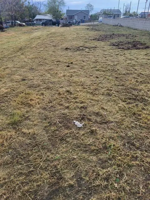 429 Eastern Ave Avenue, Taft, CA 93268 - Image #3