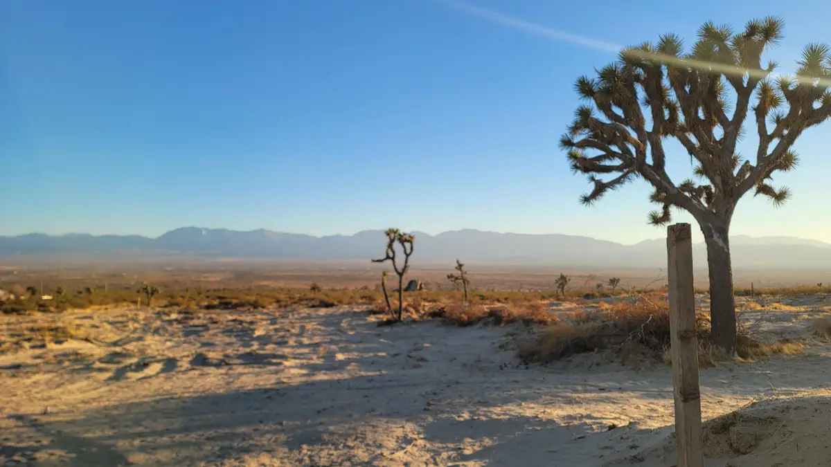 0 E Vic Avenue N8 128 Ste, Lake Los Angeles, CA 93591 - Image #1