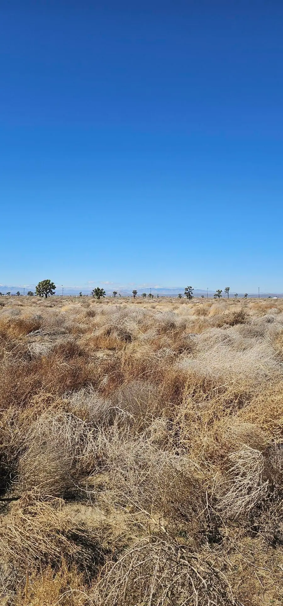 E 90th Street, Lancaster, CA 93535 - #2