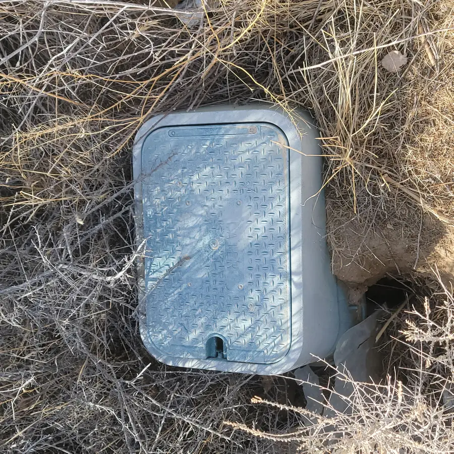 8237 Evergreen Avenue, California City, CA 93505 - #3