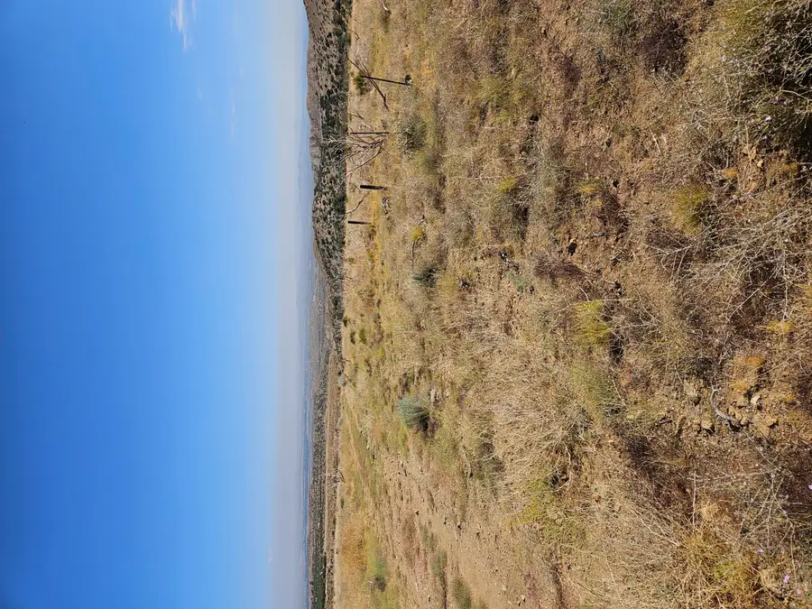 E Vic 118 Ste Avenue # 214, Juniper Hills, CA 93543 - Image #2