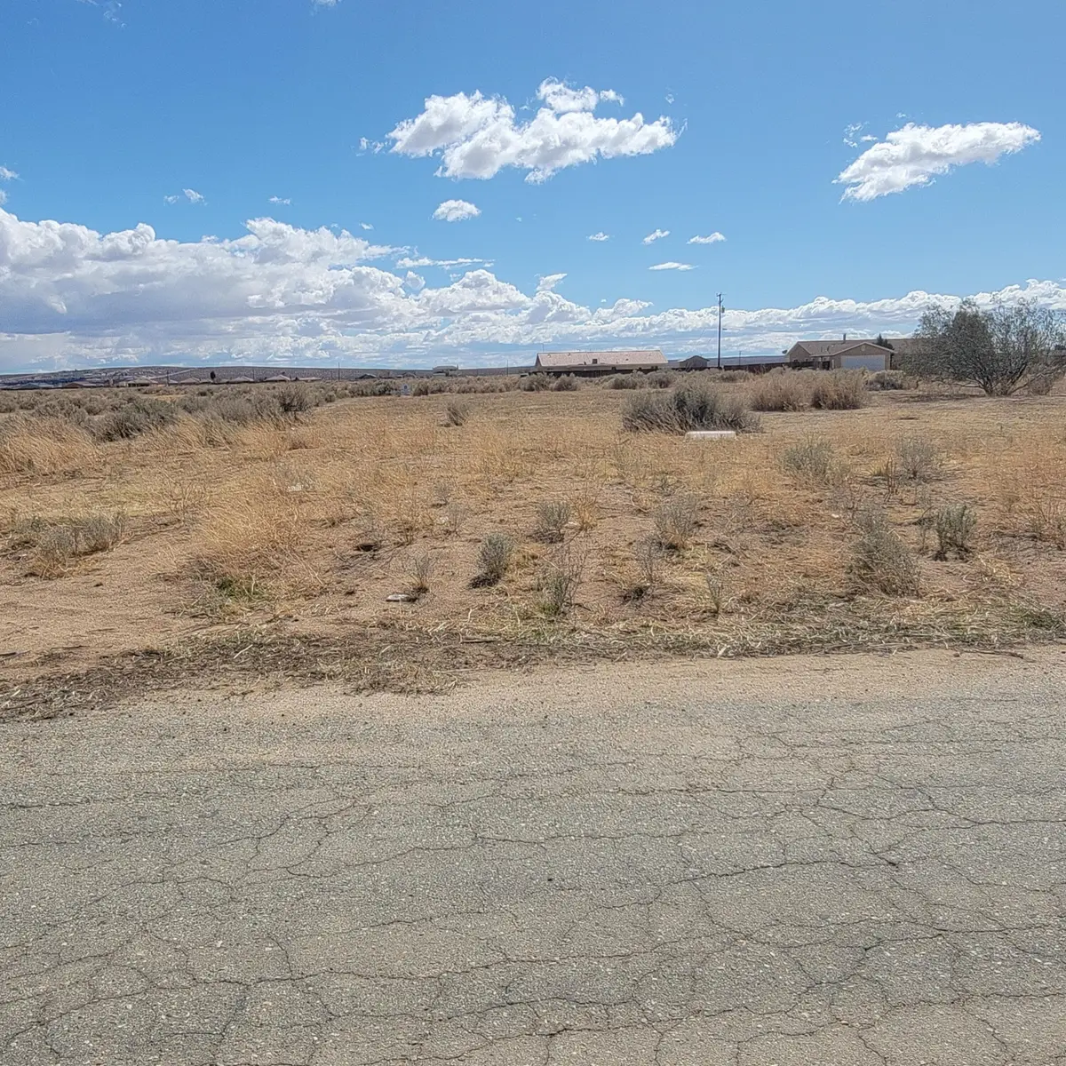 Tamarack Avenue, California City, CA 93505 - #1