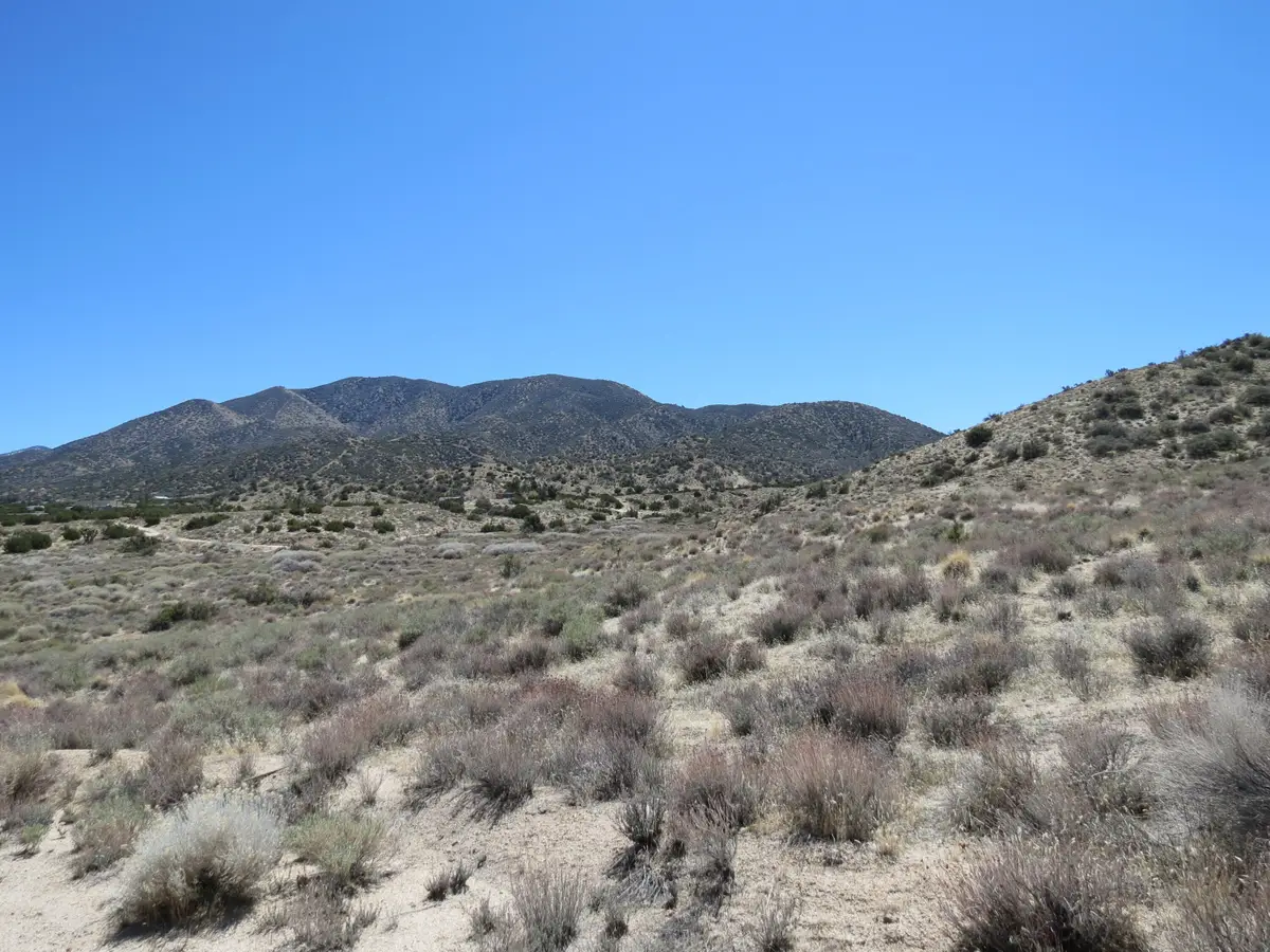 0 96th Ste Vic Cima Mesa Ste, Juniper Hills, CA 93543 - Image #1