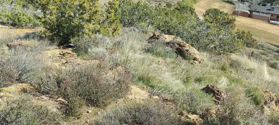 34401 Governor Mine Road, Acton, CA 93510 - Image #2