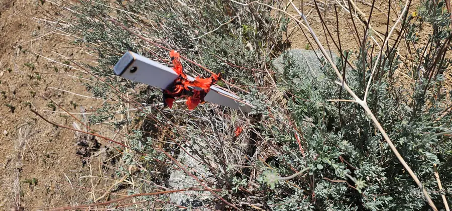 98th Street East, Juniper Hills, CA 93543 - Image #2