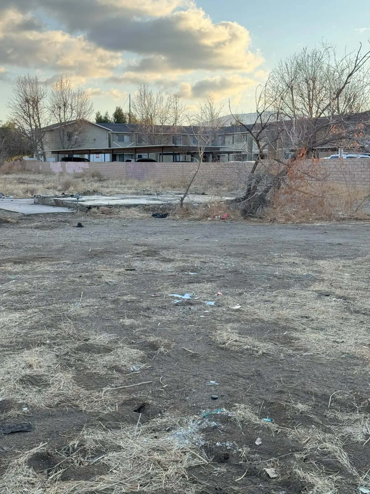 1326 E Ave Q, Palmdale, CA 93550 - Image #1