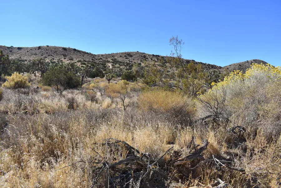 8100 Weber Ranch Road, Palmdale, CA 93550 - Image #2