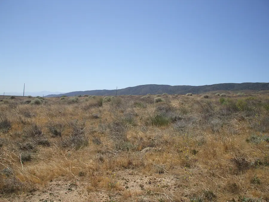 113 NW Vic Ave K St W Avenue, Del Sur, CA 93536 - #2