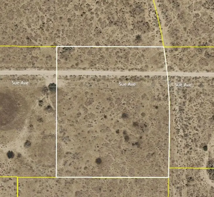 247th St West And Sue Avenue, Rosamond, CA 93560 - #2