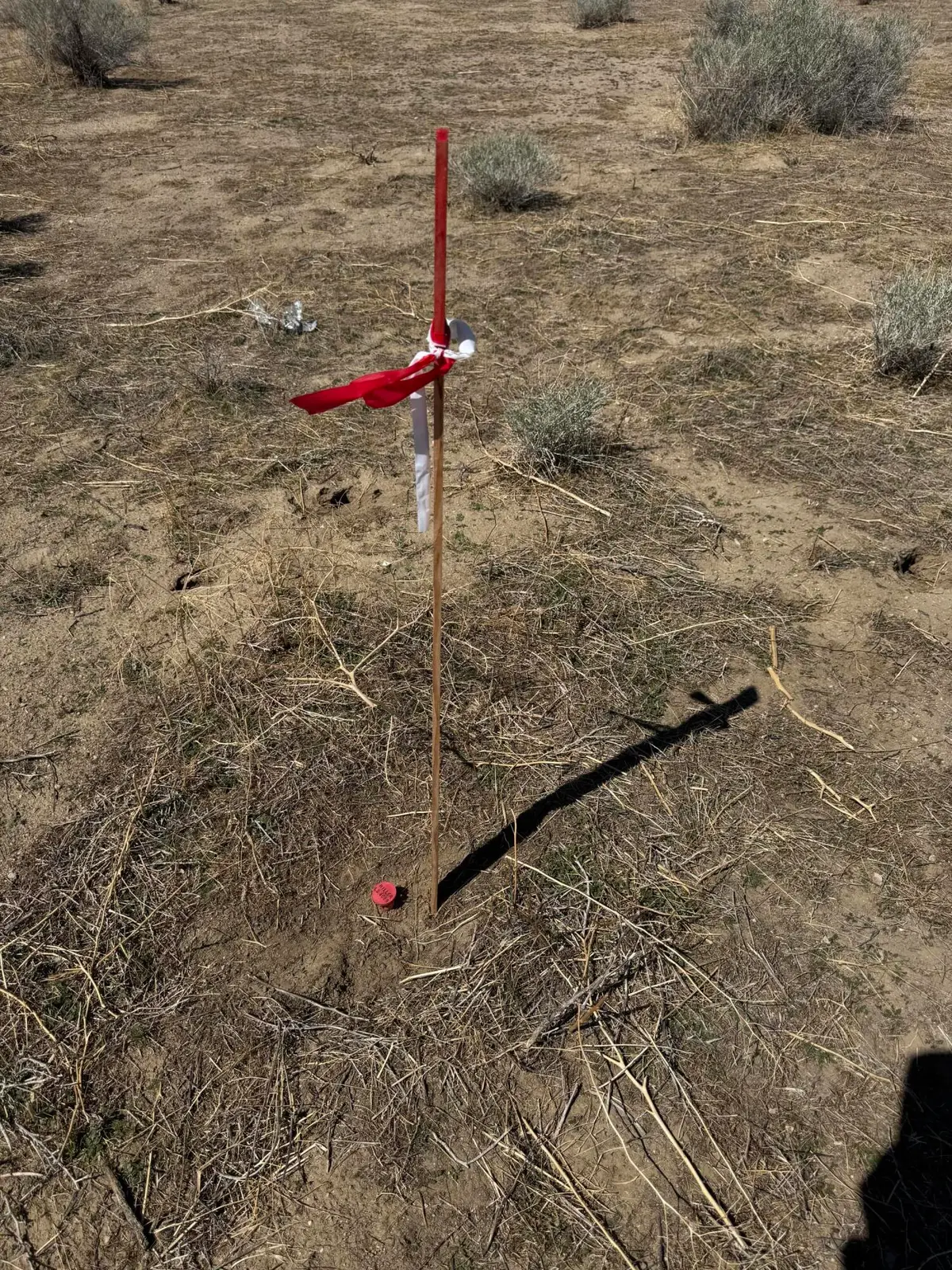 Darrow Drive, California City, CA 93505 - #1