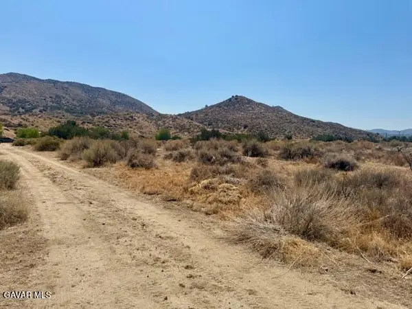 Amar Rd Vic Angeles Forest, Palmdale, CA 93550