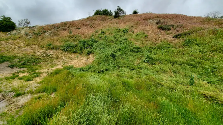 Cutwood Rd, Elizabeth Lake, CA 93532 - Image #3