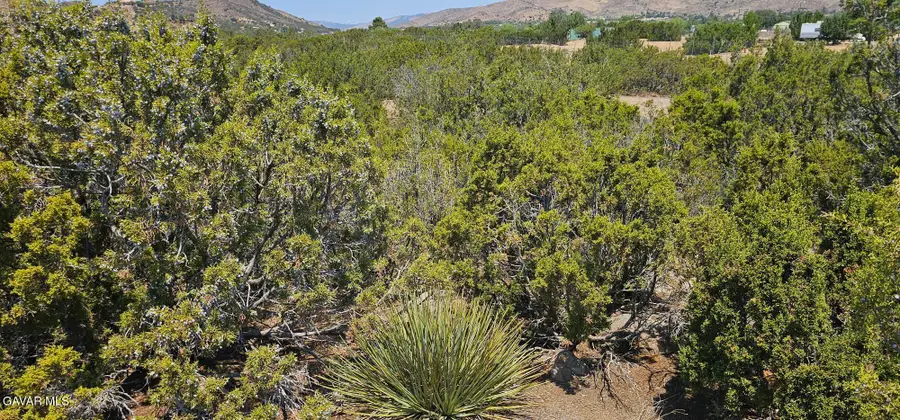 Easy Street, Acton, CA 93510 - Image #3