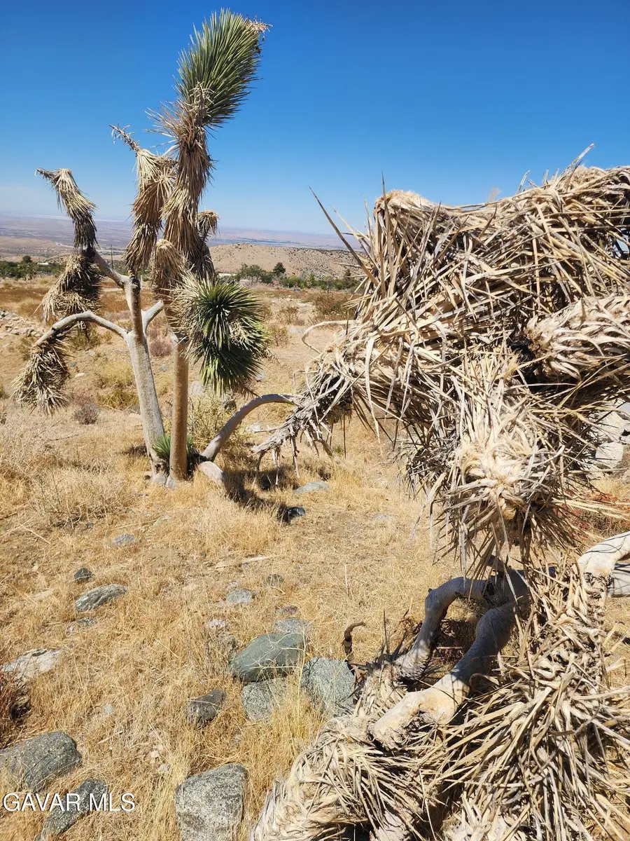 None E 116 Th Street # 110, Juniper Hills, CA 93543 - Image #3