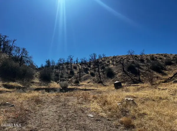 E Vic 195 Street #Ste 2, Llano, CA 93544