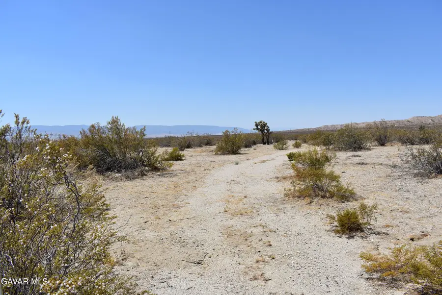 170th St West & S/o Irone Ave, Rosamond, CA 93560 - Image #2