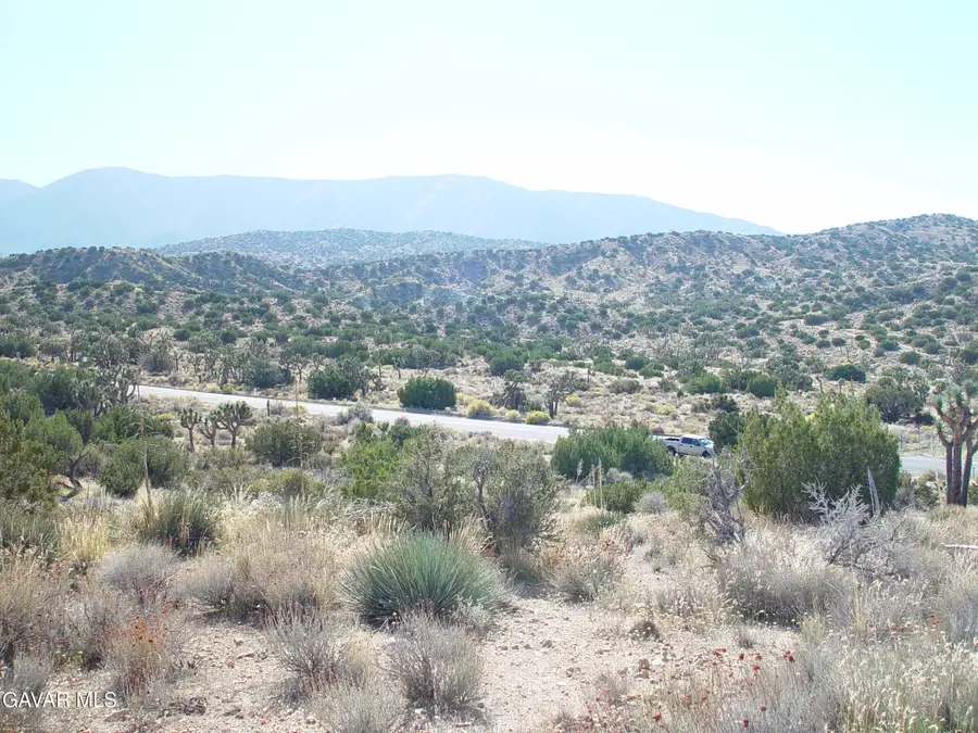 31550 Longview Road, Pearblossom, CA 93543 - #2