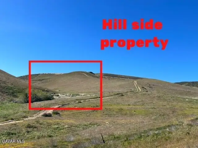 Vic Avenue K2 118 Stw, Del Sur, CA 93536 - #2