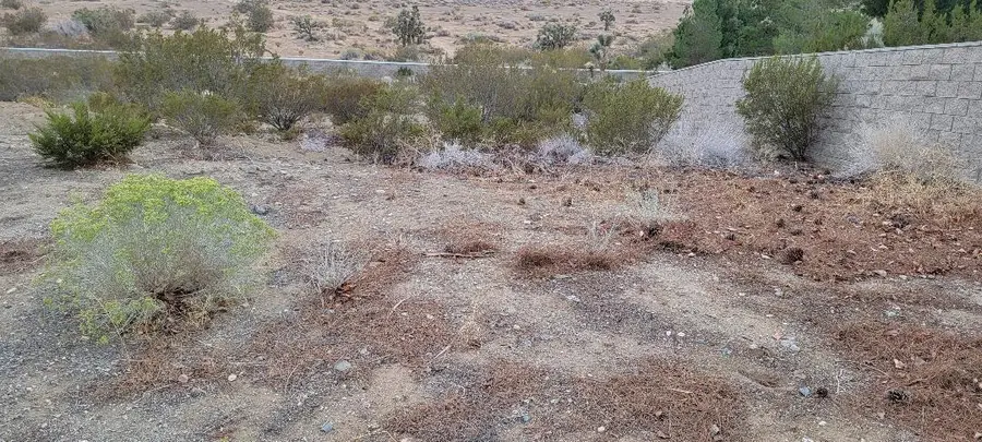 3636 Cam Hermanos, Lancaster, CA 93536 - #2