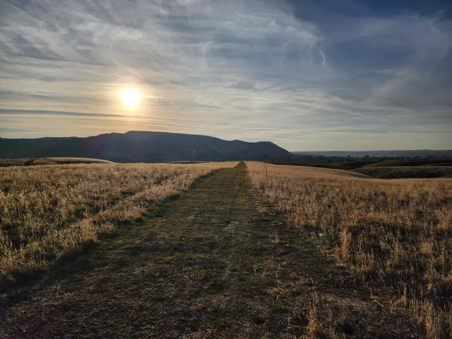 Round Mountain Road, Bakersfield, CA 93308 - #3