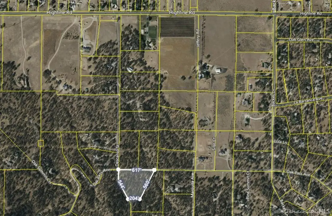 Oak Pass Avenue, Tehachapi, CA 93561 - #1