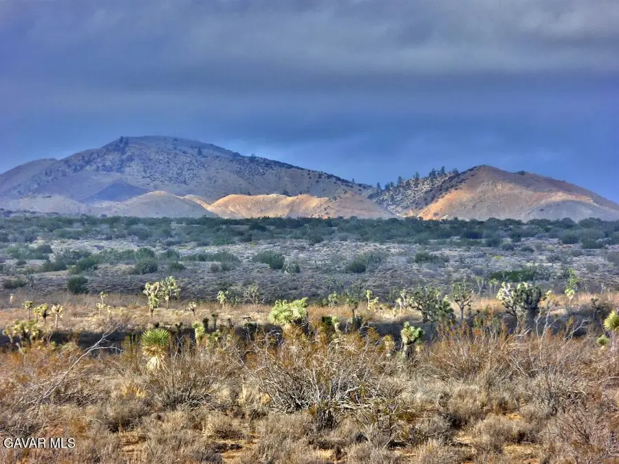 Vac Vic 145th St E, Rosamond, CA 93560 - #3