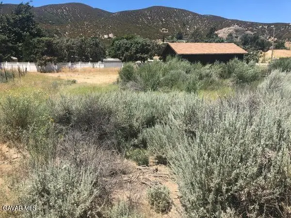 40120 W 107th Street, Leona Valley, CA 93551