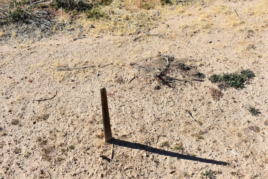 Waterman St & S/o Denise Ave, California City, CA 93505 - Image #3