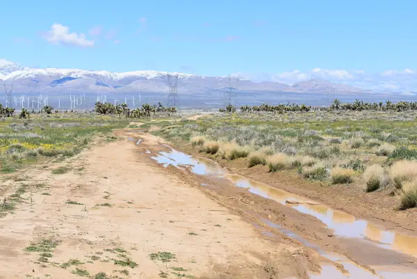 Ave B12 Vic 151 Stw, Lancaster, CA 93536