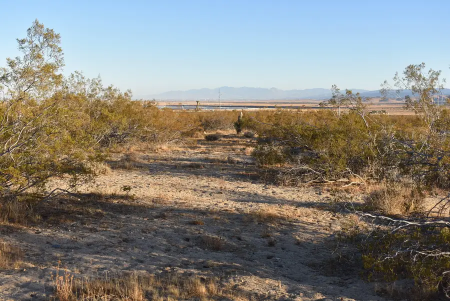 19300 W Astoria Ave, Rosamond, CA 93560 - Image #3