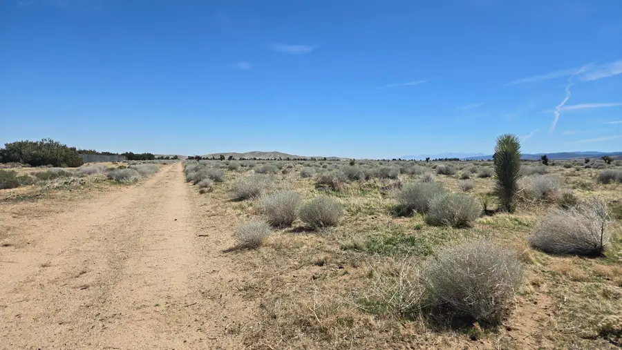 Ave E, Vicinity 193rd St West, Fairmont, CA 93536 - Image #2