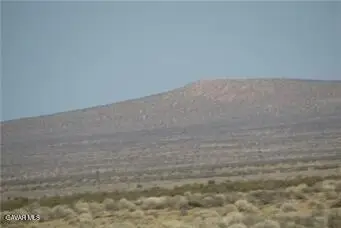 0542011710000, Newberry Springs, CA 92365 - #1