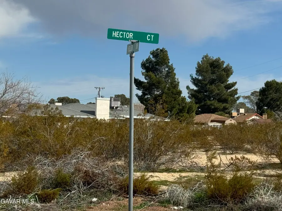 Hector Court, California City, CA 93505 - Image #3