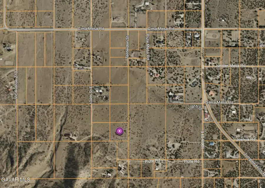 29902 105th East S/o Cima Mesa Street, Juniper Hills, CA 93543 - #2