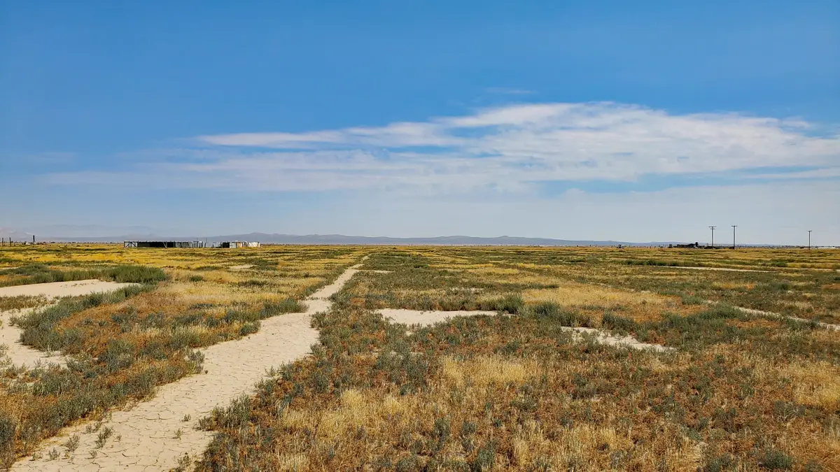 Vicinity Ave D-11 & 52nd St E, Lancaster, CA 93535 - #1