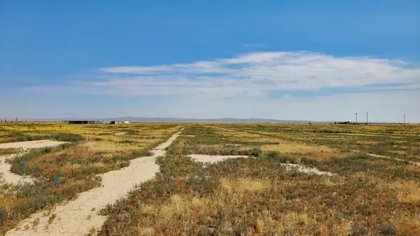 Vicinity Ave D-11 & 52nd St E, Lancaster, CA 93535