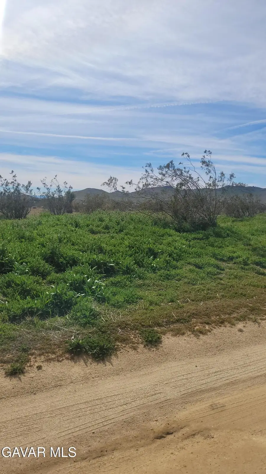 Gibbs Avenue Avenue, Mojave, CA 93501 - #2