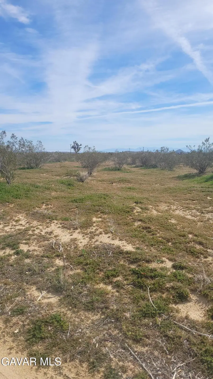 Gibbs Avenue Avenue, Mojave, CA 93501 - #3