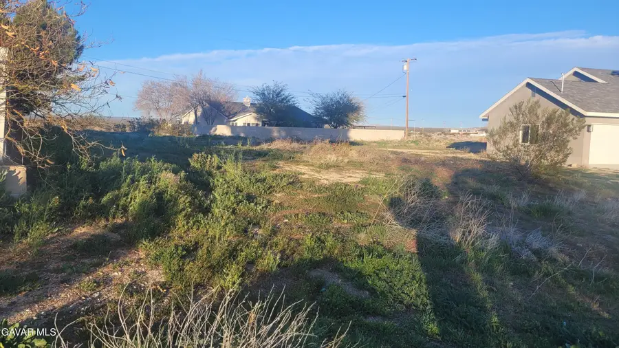 10249 Rea Avenue, California City, CA 93505 - #3