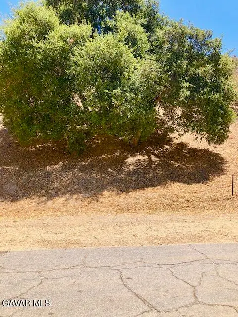 Lincoln Lot 78 Avenue, Val Verde, CA 91384 - #1