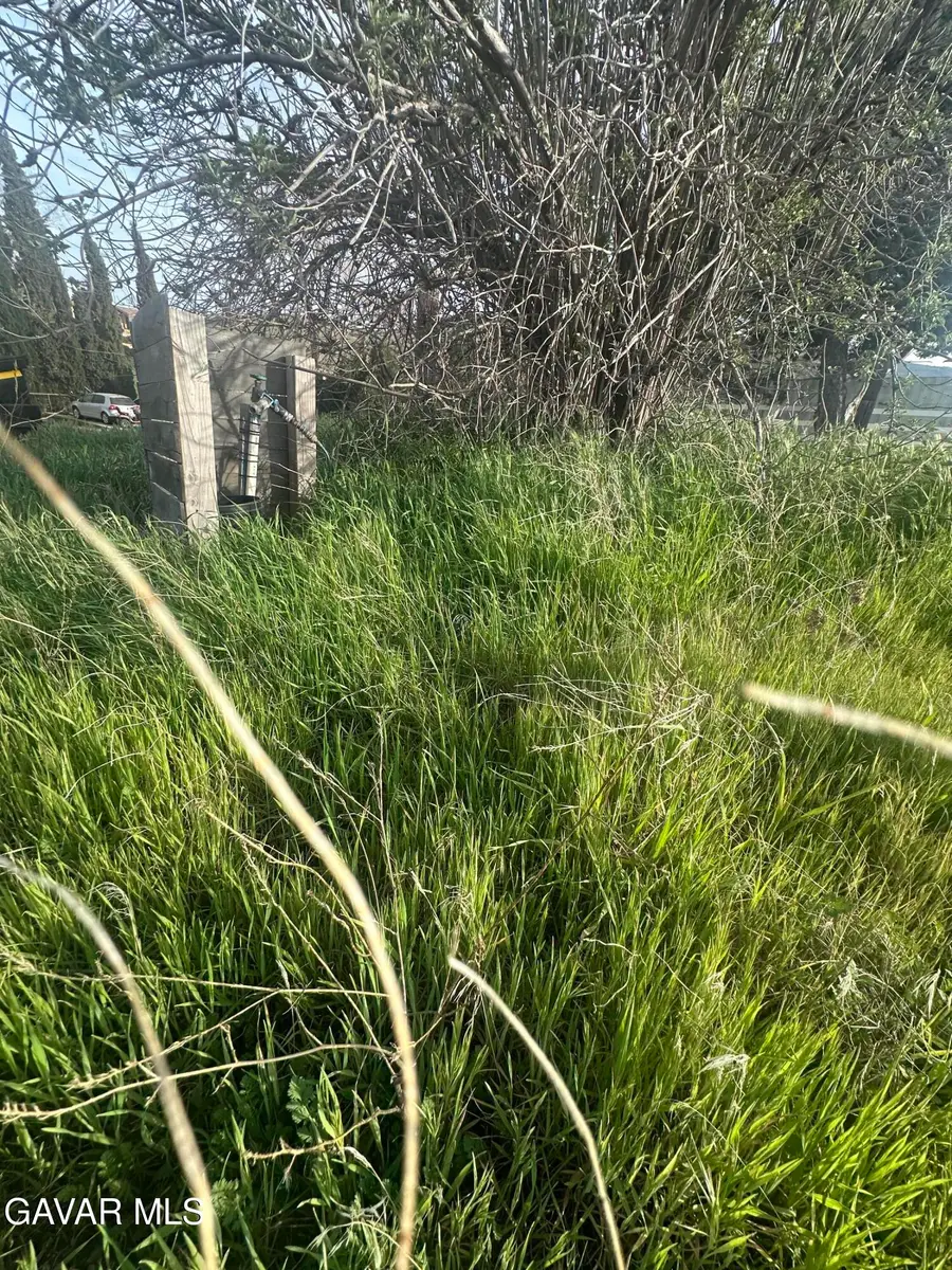 87th Stw Vic Vientos, Leona Valley, CA 93551 - #3