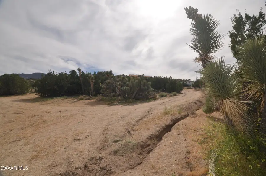 Vic Avenue 24 Longview, Juniper Hills, CA 93543 - #3