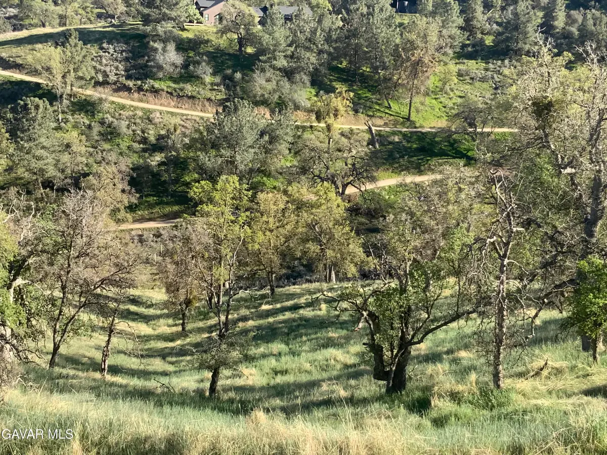 28600 Ridgeview Court, Tehachapi, CA 93561 - #1