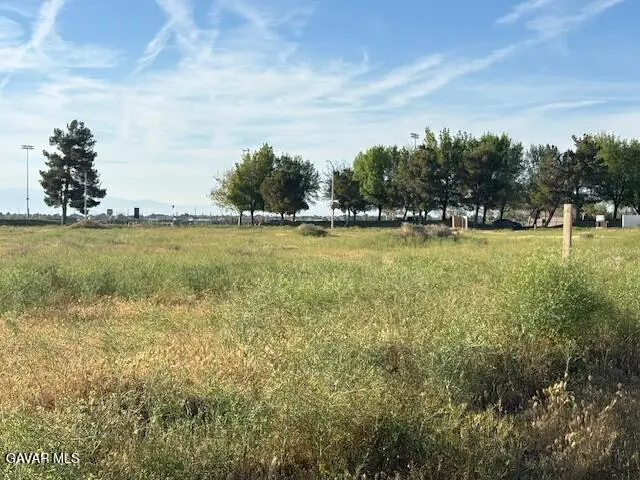 30th St E Vic Ave L, Palmdale, CA 93552 - #3