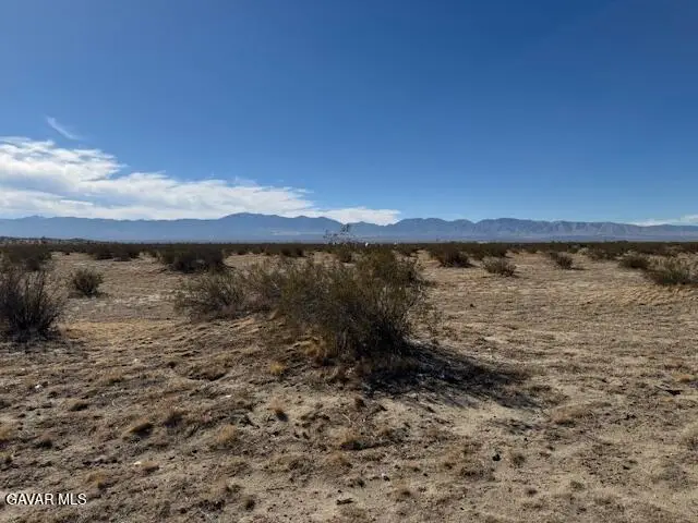 21500 E Avenue P4, Pearblossom, CA 93553 - #3