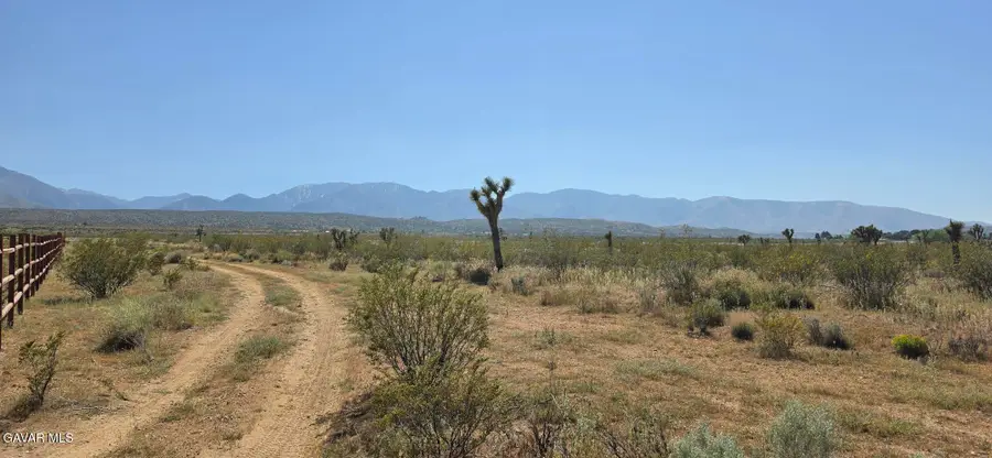 175th St E / Ave W14, Llano, CA 93544 - #2